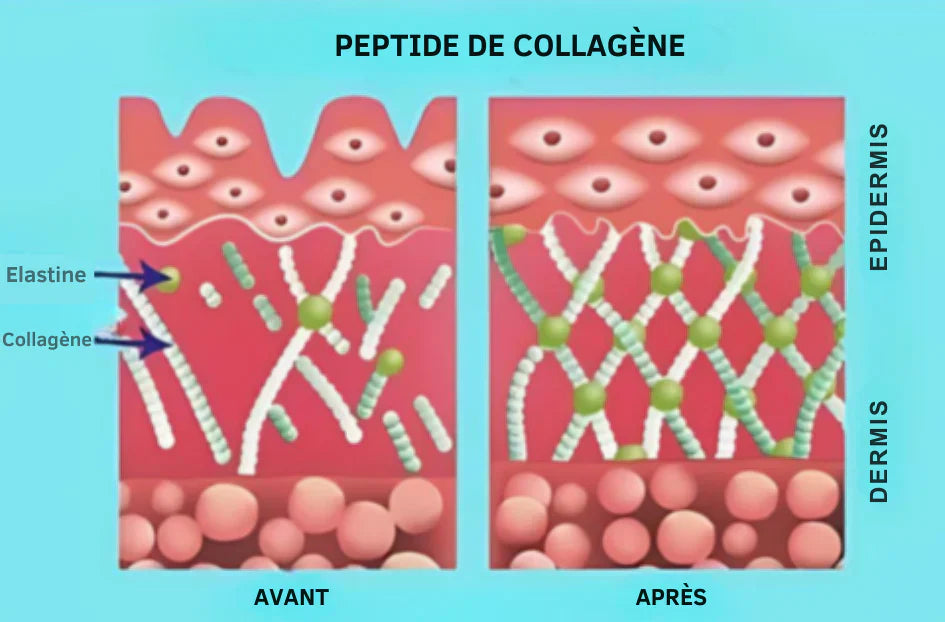 Crème au Rétinol Anti-Âge 1 acheter = 1 offert