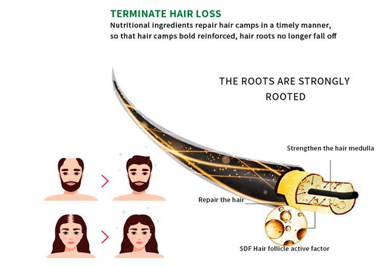 DISAAR HAIR  OFFRE SPECIAL